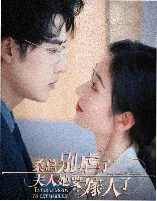 无声回声 剧集封面